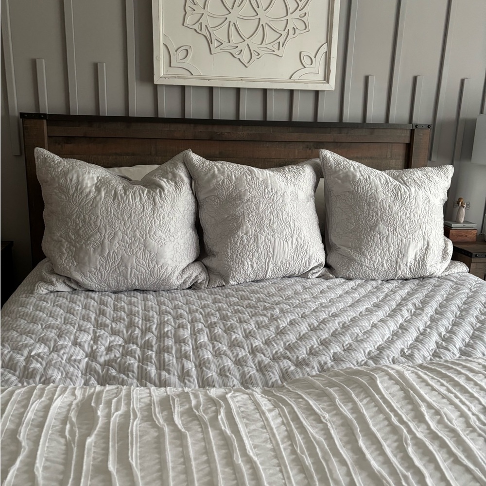 Set of 3 Pottery Barn Euro Shams